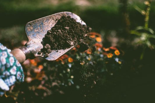 Heavy Metals Soil Testing: Ultimate Guide to Safe Soil in U.S. Cities