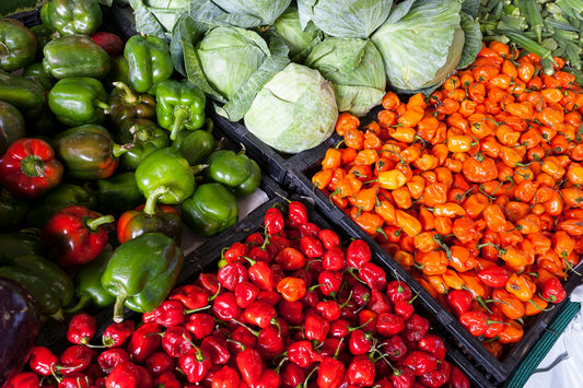 Soil Analysis and Requirements for Lettuce, Strawberries, Broccoli, and Grapes in Kern County, CA