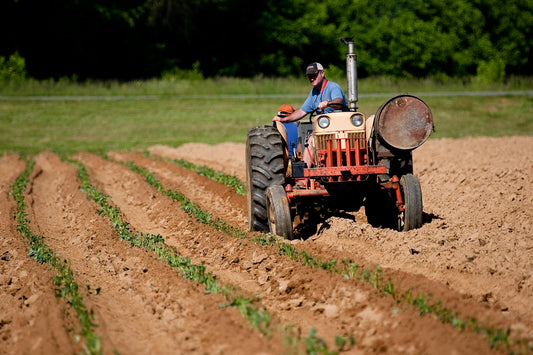 Soil Analysis and Requirements for Oranges, Grapes, and Alfalfa in Tulare County, CA