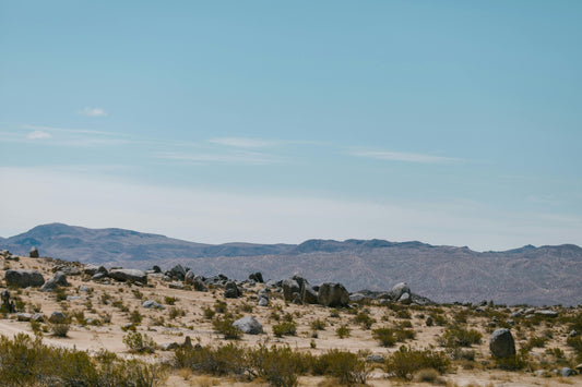 Soil Testing in California
