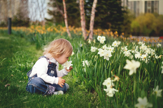 Soil Testing in Anaheim, California