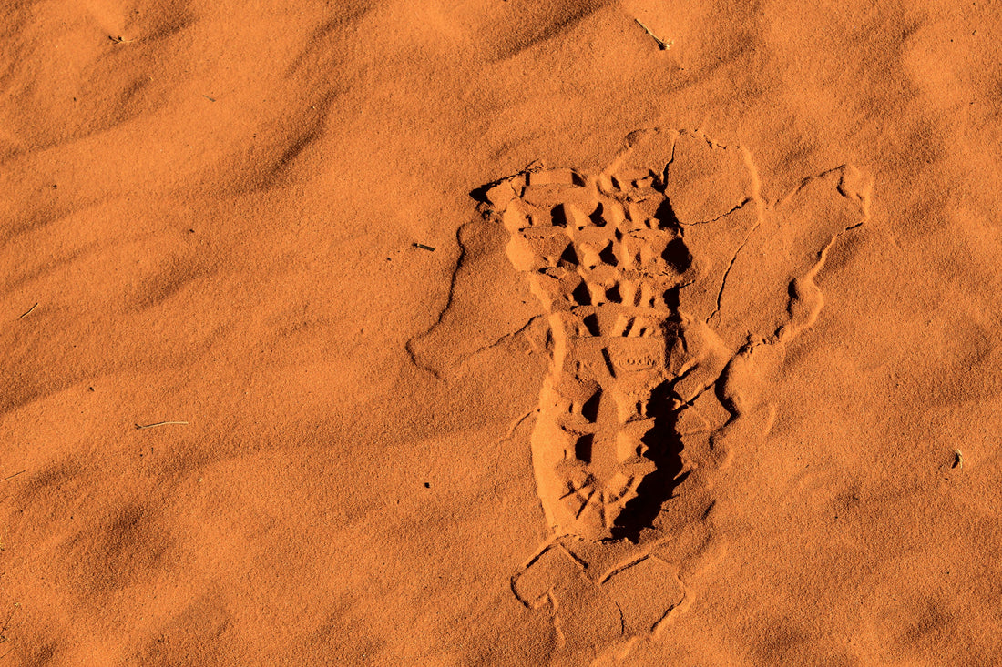 How Climate Change is Transforming North American Soil