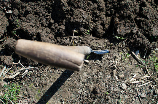 Understanding Soil Health and Soil Testing in California