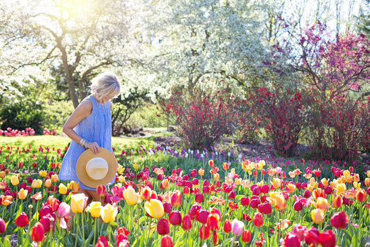Safe soil, healthy plants, thriving gardens – How our soil tests help gardeners