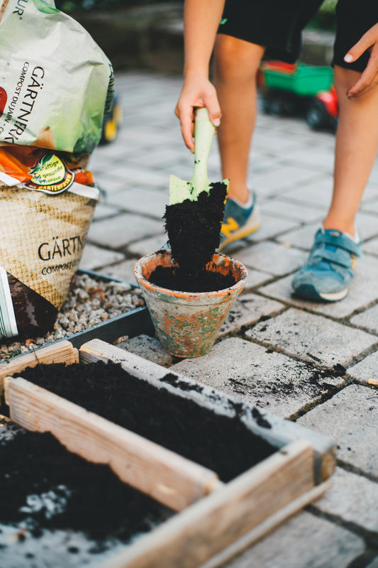 Soil Test Kits: Find the Right One for Your Garden's Health