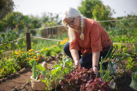 The Best Soil Test Kits For Gardeners