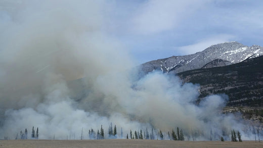 Soil Testing After Wildfires in California