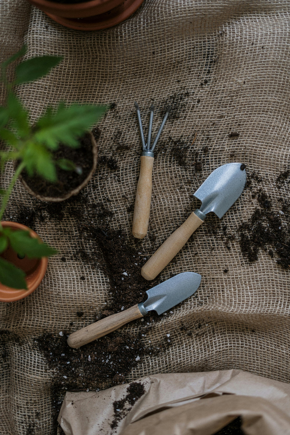 How to Take a Soil Sample (Updated 2024)