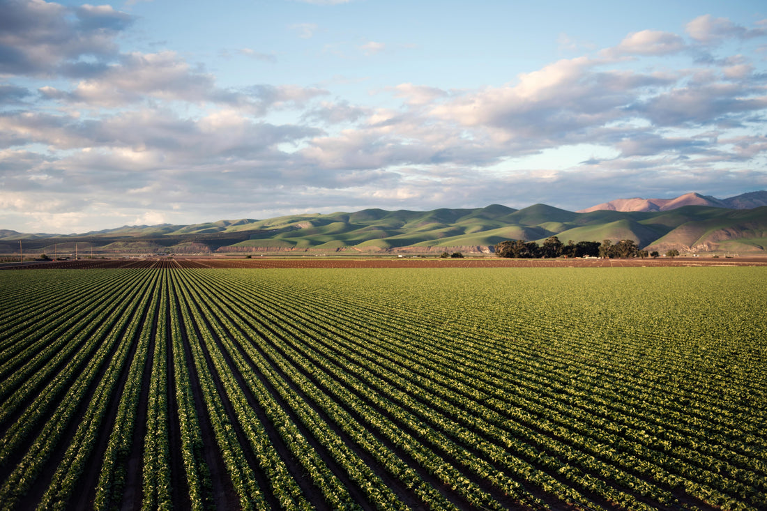 California Soil Facts and Statistics