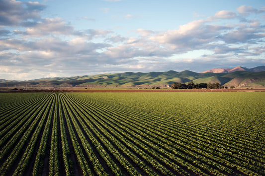 California Soil Facts and Statistics