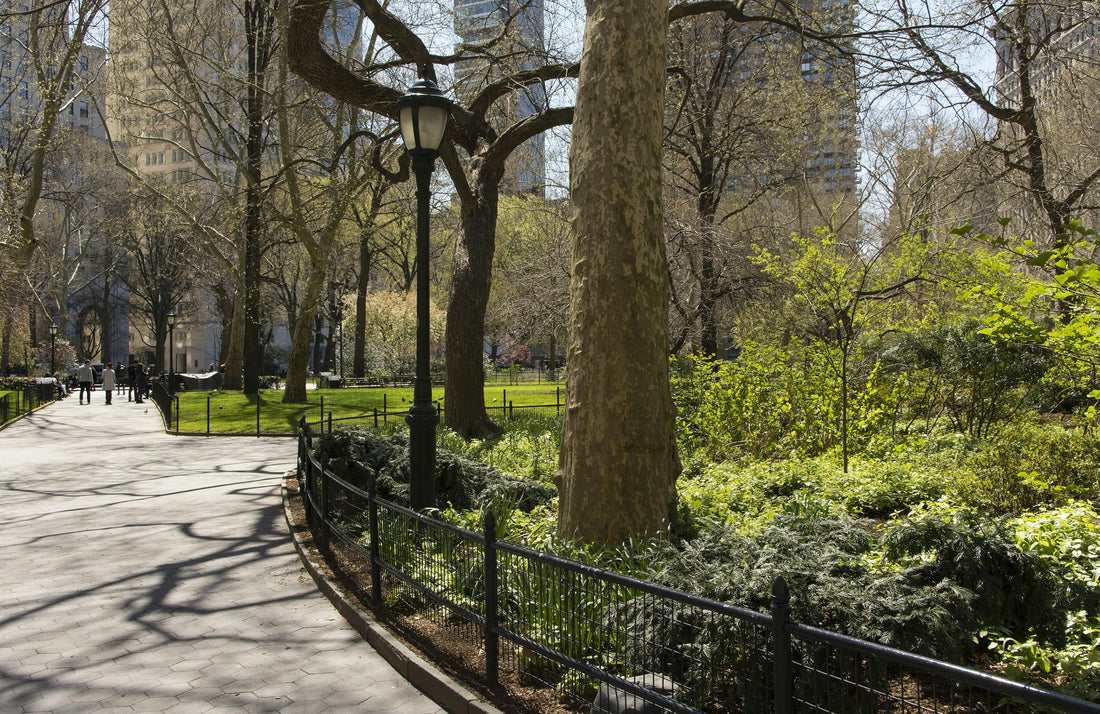 Soil Testing in Manhattan, New York