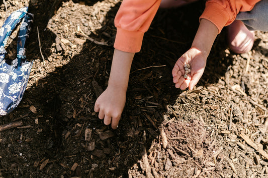 Compost Producers in California: Test Healthy Soil and Compost