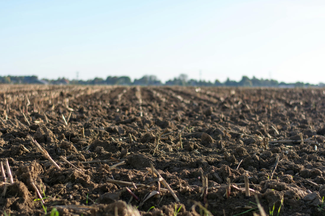 11 Things You Should Know About the Haney Soil Test