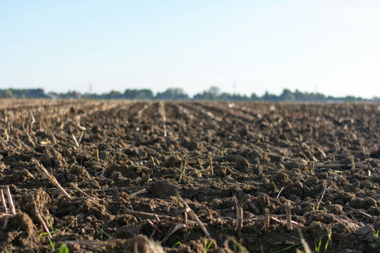 11 Things You Should Know About the Haney Soil Test