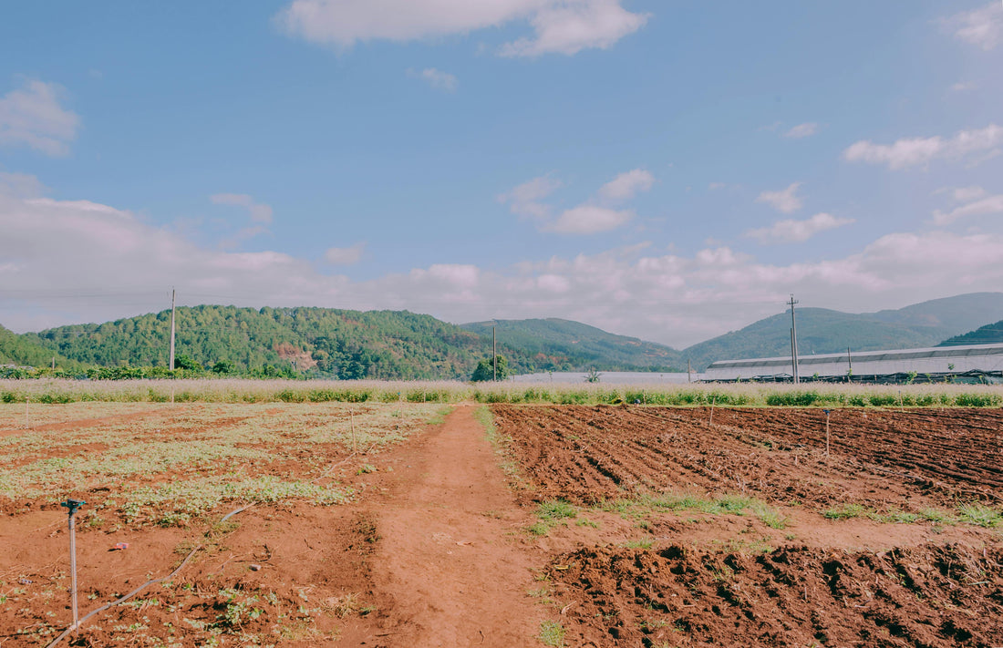 12 Things You Should Probably Know About Heavy Metals in Soil