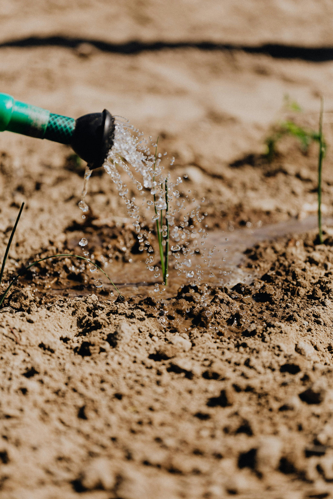 Soil Testing in Portland, Oregon