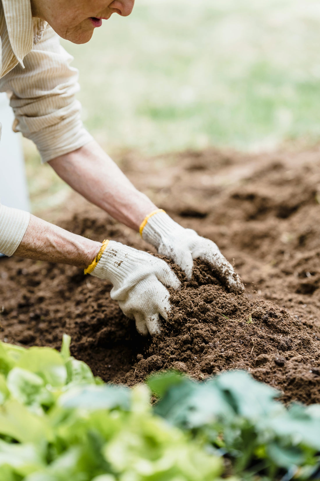Soil Testing in Aspen, Colorado