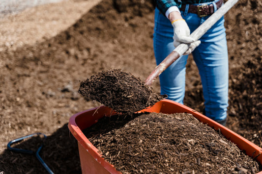 How Soil Labs Near You Make a Big Difference in Our Gardens, Landscapes, Farms, and Environments in California