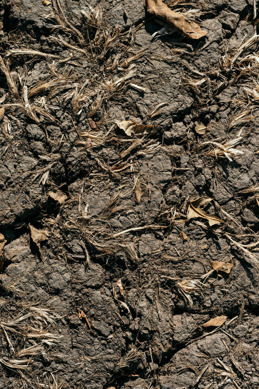 Percolation and Infiltration Soil Testing in California