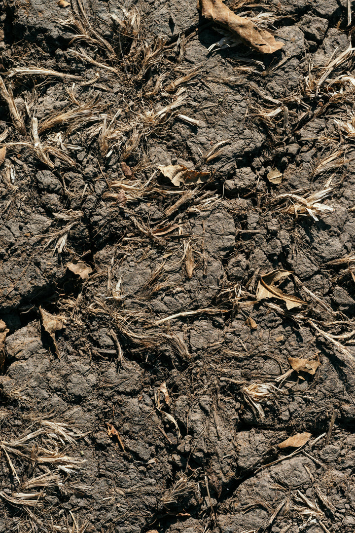 Soil Analysis – Alluvial Soil Lab