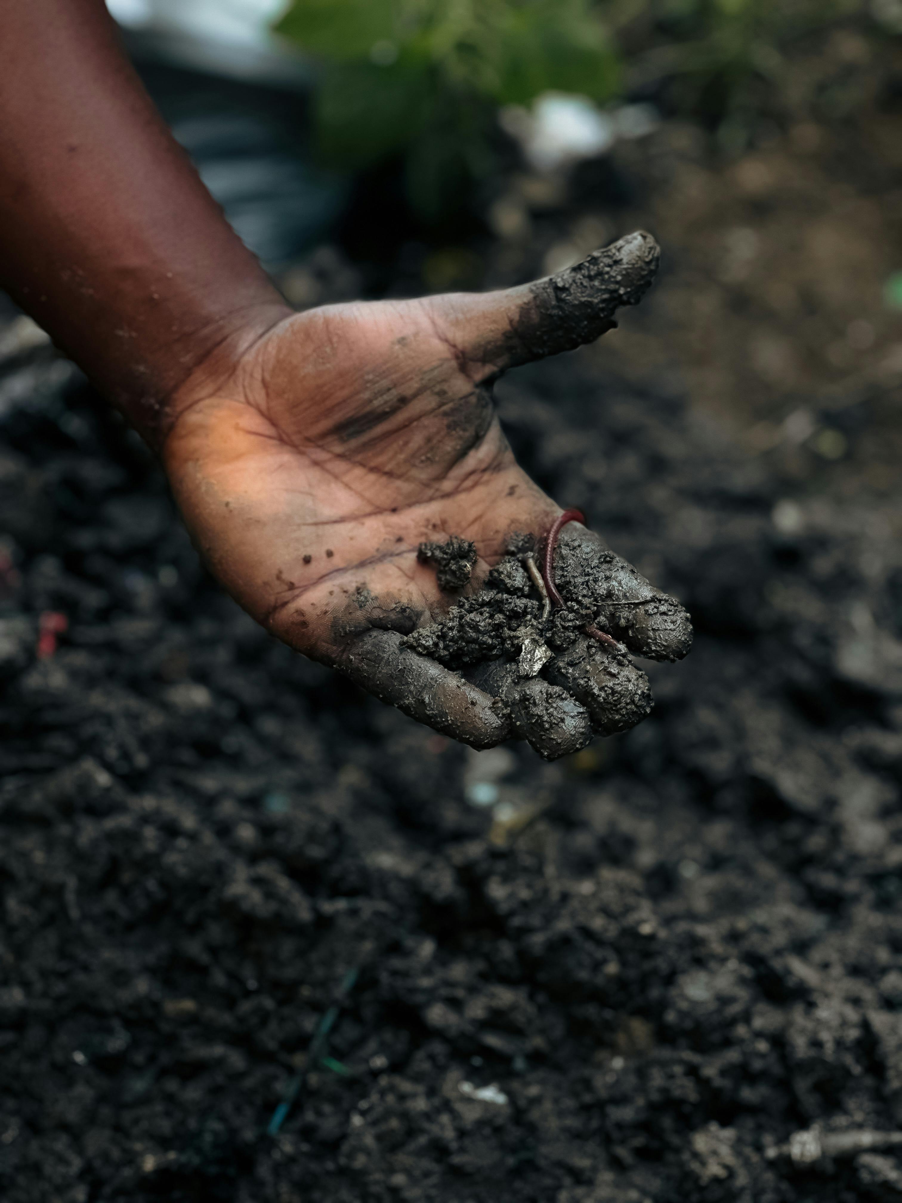 Soil Testing Guide 2025 | Alluvial Soil Lab