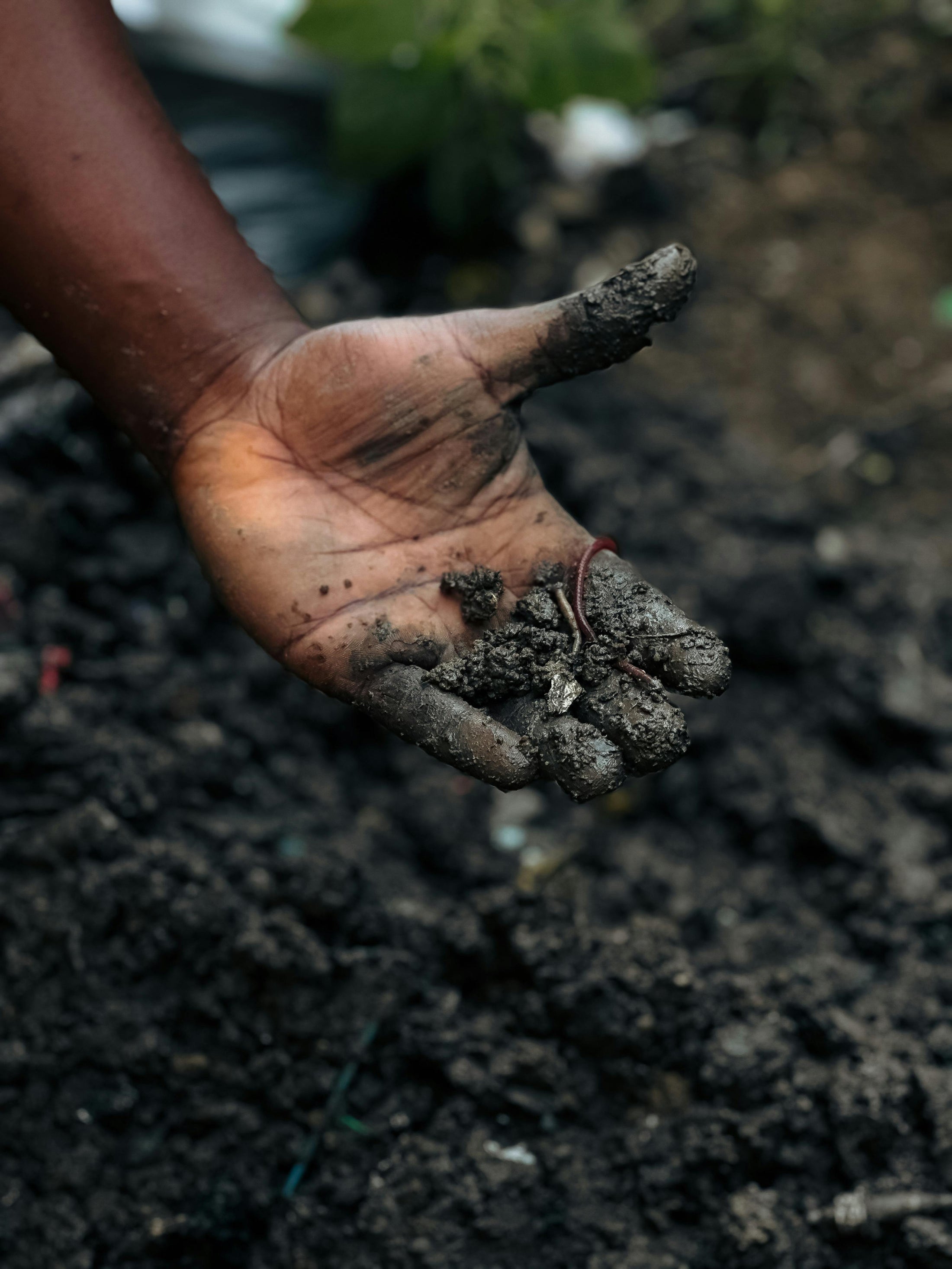 Soil Testing Guide 2025 | Alluvial Soil Lab