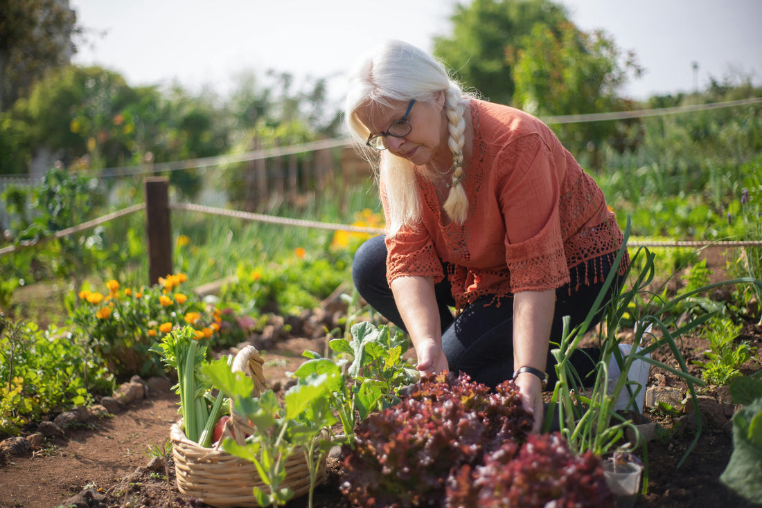 The Best Soil Test Kits For Gardeners