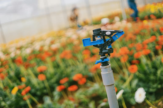 Irrigation Water Testing For Hydroponics and Substrate in California