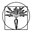 Alluvial Soil Lab logo