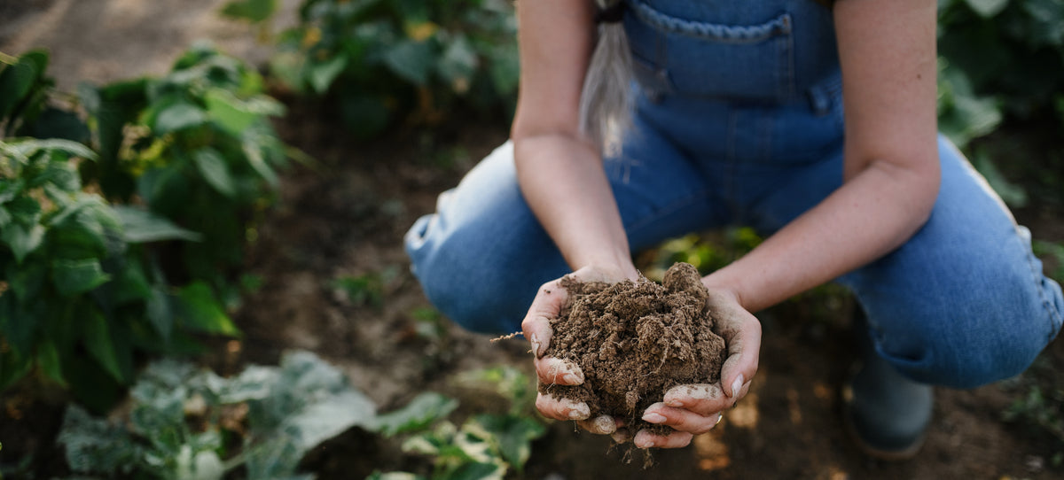 Alluvial Soil Lab | Soil Testing Service and Soil Analysis Kits